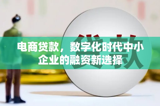 芦淞电商贷款，数字化时代中小企业的融资新选择