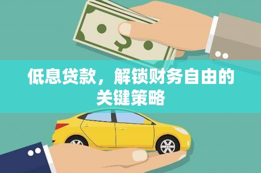 芦淞低息贷款，解锁财务自由的关键策略