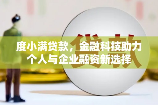 芦淞度小满贷款，金融科技助力个人与企业融资新选择