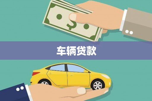 芦淞车辆贷款
