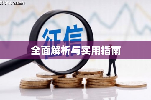 芦淞全面解析与实用指南