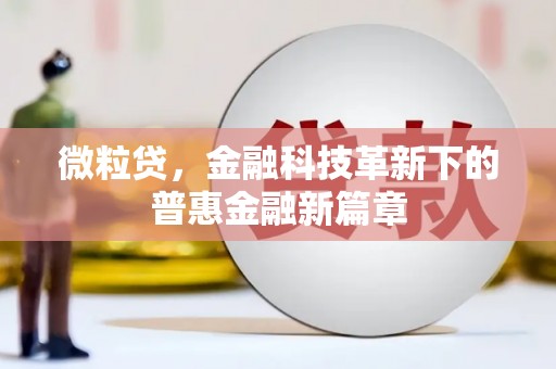 芦淞微粒贷，金融科技革新下的普惠金融新篇章