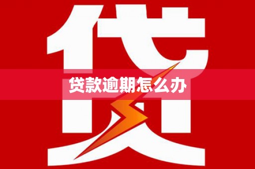 芦淞贷款逾期怎么办