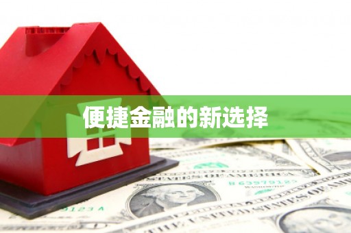 芦淞便捷金融的新选择