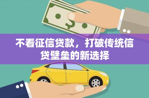 芦淞不看征信贷款，打破传统信贷壁垒的新选择