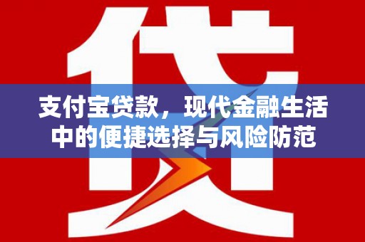 芦淞支付宝贷款，现代金融生活中的便捷选择与风险防范