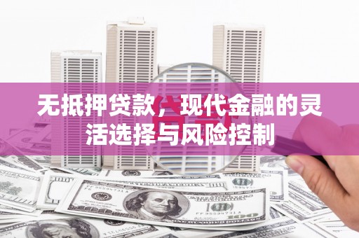 芦淞无抵押贷款，现代金融的灵活选择与风险控制