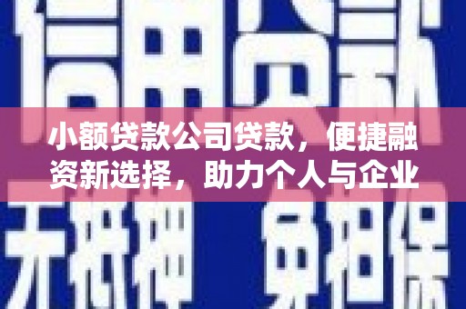 芦淞小额贷款公司贷款，便捷融资新选择，助力个人与企业成长