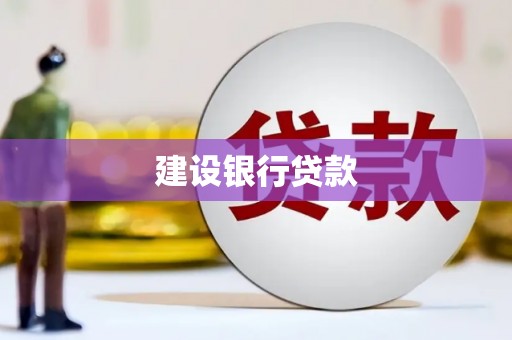 芦淞建设银行贷款