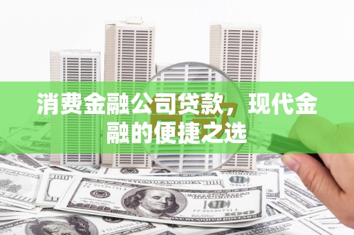 芦淞消费金融公司贷款，现代金融的便捷之选
