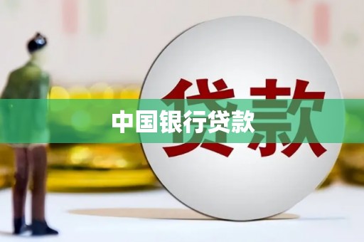 芦淞中国银行贷款