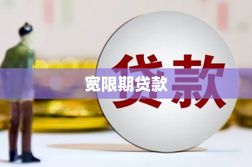 芦淞宽限期贷款