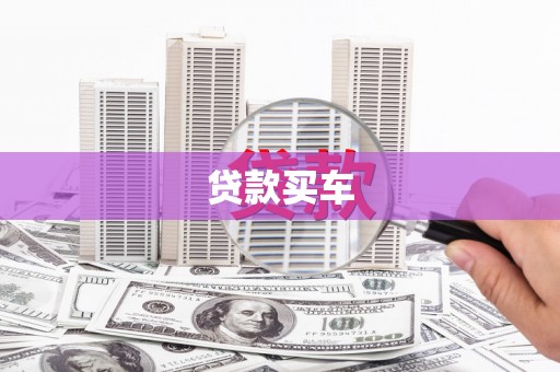 芦淞贷款买车