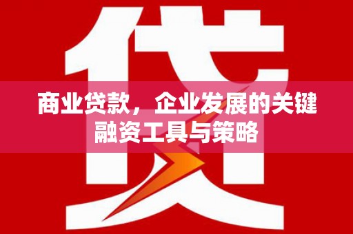 芦淞商业贷款，企业发展的关键融资工具与策略