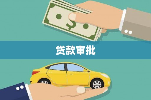芦淞贷款审批
