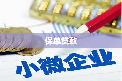 芦淞保单贷款