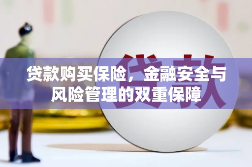 芦淞贷款购买保险，金融安全与风险管理的双重保障