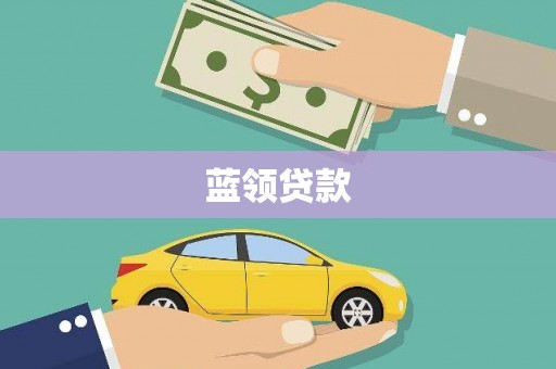 芦淞蓝领贷款