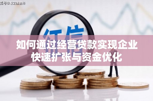 芦淞如何通过经营贷款实现企业快速扩张与资金优化