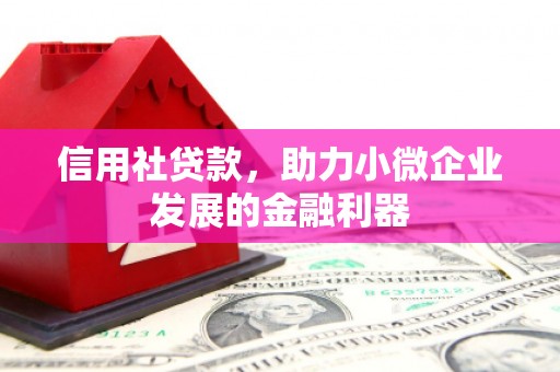 芦淞信用社贷款，助力小微企业发展的金融利器