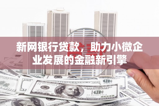 芦淞新网银行贷款，助力小微企业发展的金融新引擎