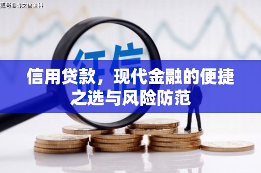 芦淞信用贷款，现代金融的便捷之选与风险防范