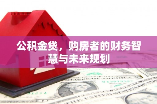 芦淞公积金贷，购房者的财务智慧与未来规划