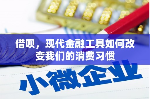 芦淞借呗，现代金融工具如何改变我们的消费习惯