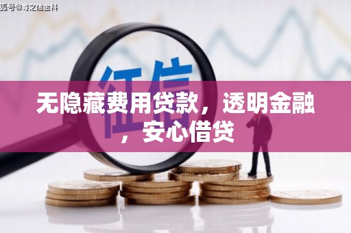 芦淞无隐藏费用贷款，透明金融，安心借贷
