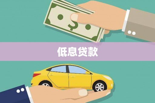 芦淞低息贷款