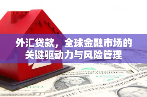 芦淞外汇贷款，全球金融市场的关键驱动力与风险管理