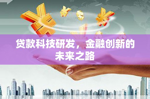 芦淞贷款科技研发，金融创新的未来之路
