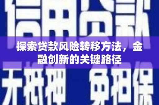 芦淞探索贷款风险转移方法，金融创新的关键路径