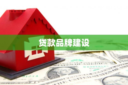 芦淞贷款品牌建设