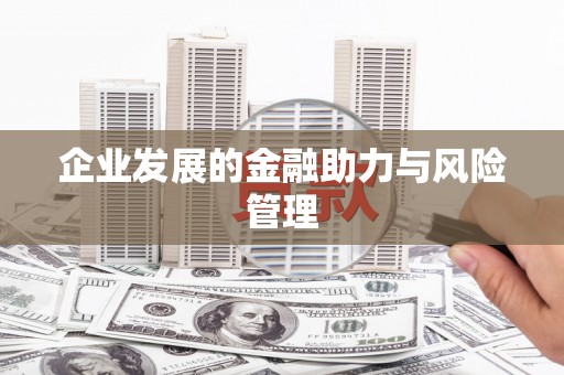 芦淞企业发展的金融助力与风险管理