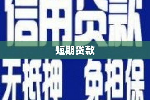 芦淞短期贷款