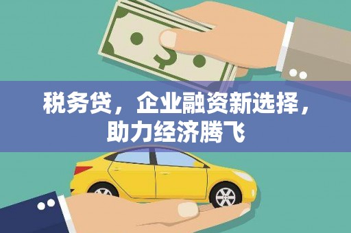 芦淞税务贷，企业融资新选择，助力经济腾飞