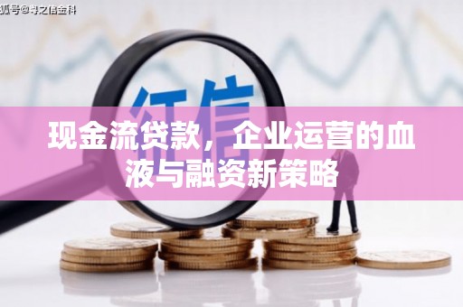 芦淞现金流贷款，企业运营的血液与融资新策略