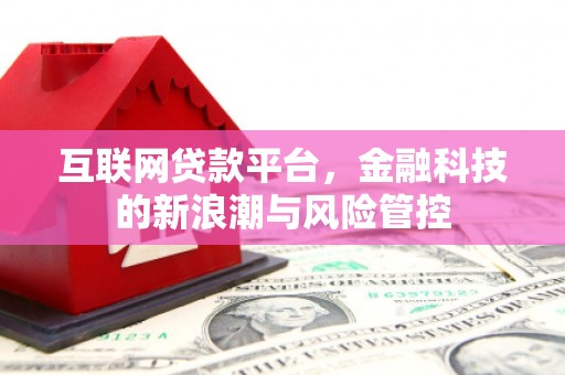 芦淞互联网贷款平台，金融科技的新浪潮与风险管控