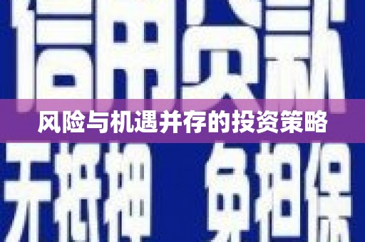 芦淞风险与机遇并存的投资策略