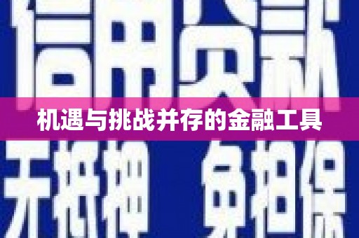芦淞机遇与挑战并存的金融工具