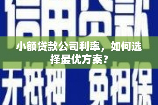 芦淞小额贷款公司利率，如何选择最优方案？