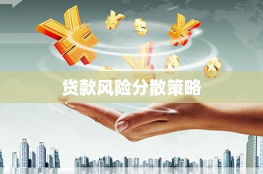 芦淞贷款风险分散策略