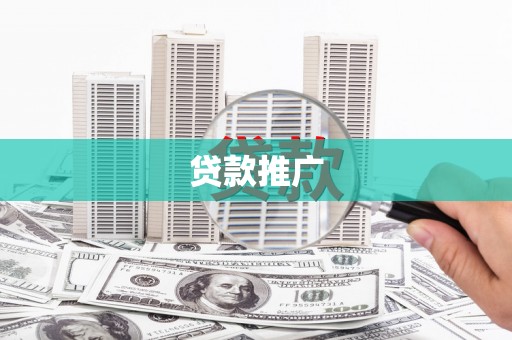 芦淞贷款推广