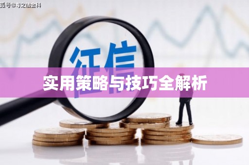 芦淞实用策略与技巧全解析