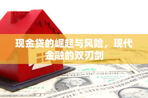 芦淞现金贷的崛起与风险，现代金融的双刃剑