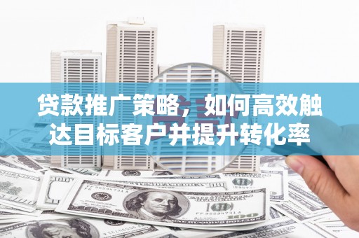 芦淞贷款推广策略，如何高效触达目标客户并提升转化率