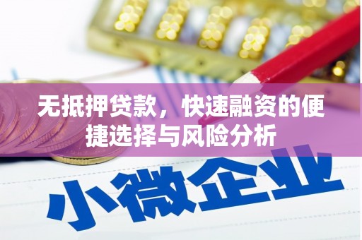 芦淞无抵押贷款，快速融资的便捷选择与风险分析