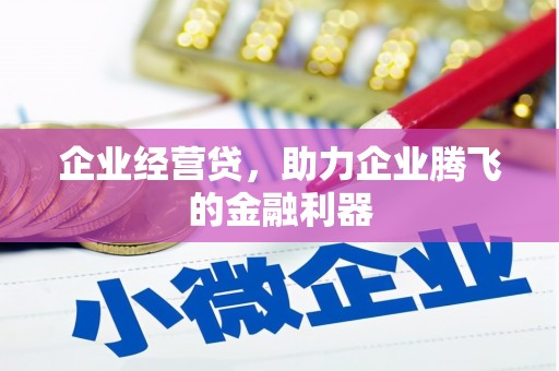芦淞企业经营贷，助力企业腾飞的金融利器
