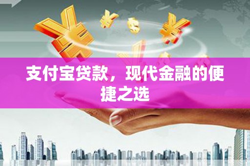 芦淞支付宝贷款，现代金融的便捷之选
